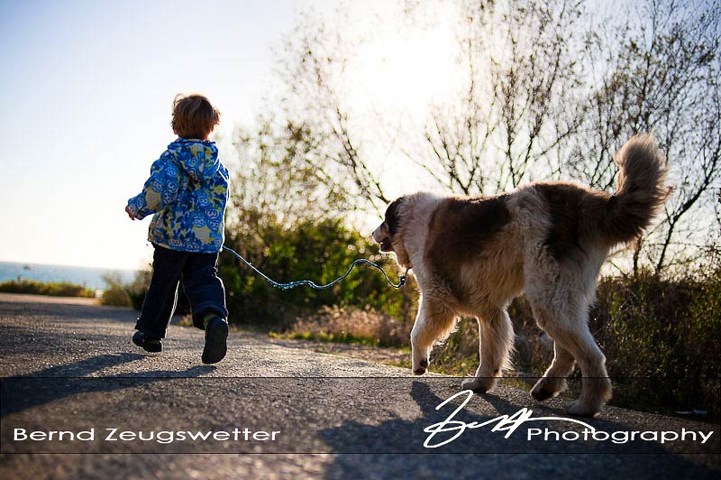 Child and dog running