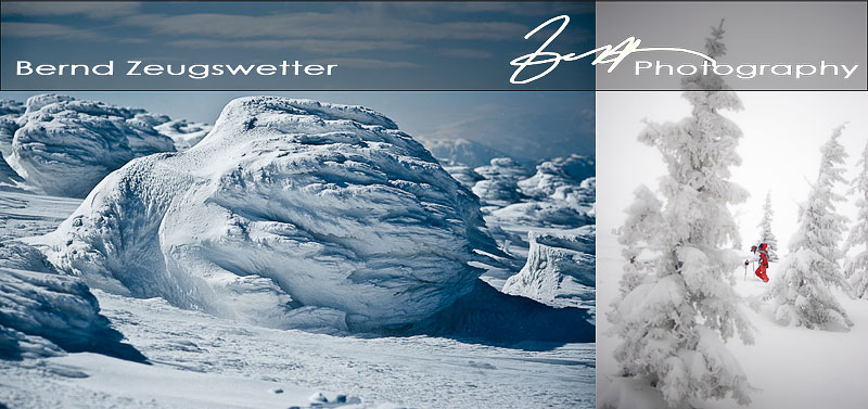 Wild Rime Ice covering trees, Skitour on the Göller, Austria