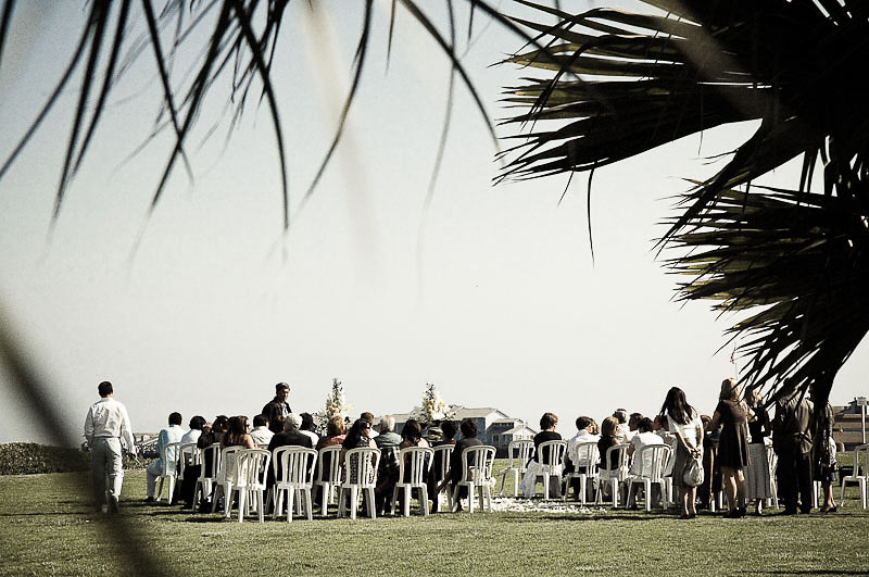 Wedding Ceremony, looking through Palm Trees, Santa Barbara