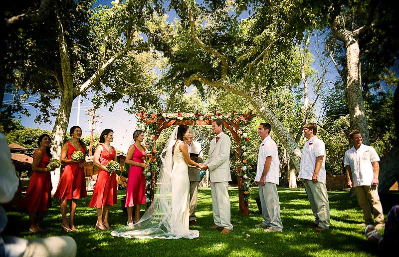 A colorful Wedding Ceremony under green Sycamore tree and blue sky