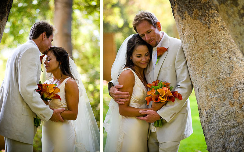 Wedding Portrait of the Bride and Groom next to a Sycamore Tree