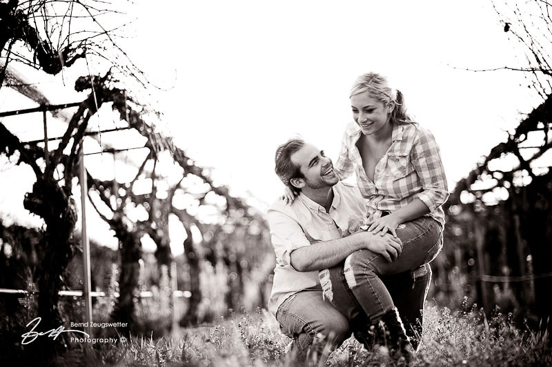 Engagement Pictures at Firestone Vineyard, Santa Ynez.