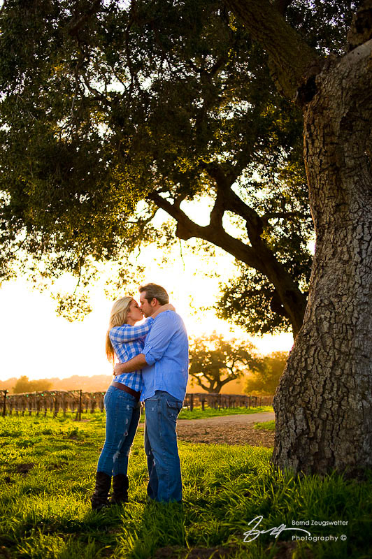 Stephanie and Brandon engagement photo session at Firestone Vineyard, Santa Ynez.