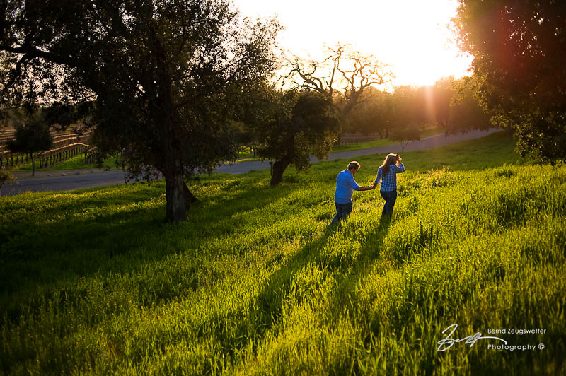 Stephanie and Brandon walking through meadow in Santa Ynez Valley.