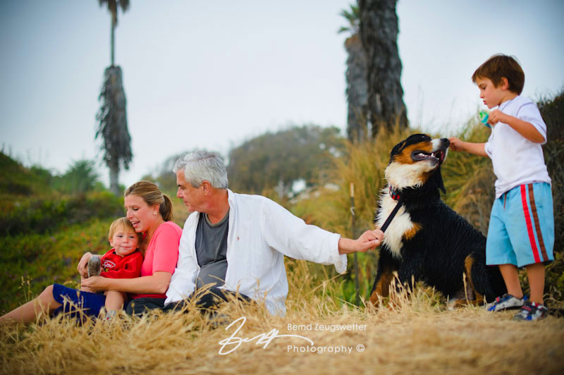 Photograph of family with dog sitting down above the beach.