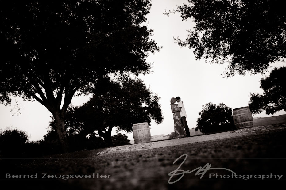 Engagement photos at the Firestone Vineyard.