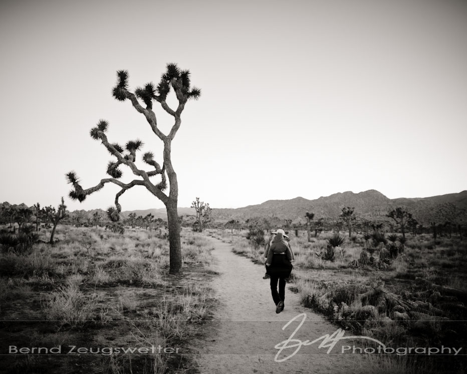 Joshua tree national park wedding