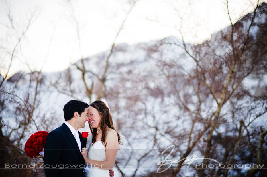 Bride and Groom at Convict Lake in the snow.