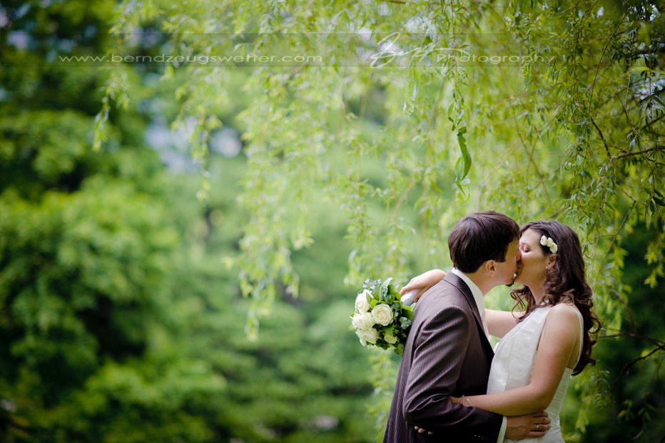 Wedding couple kissing under willows, Reichenau an der Rax, Oesterreich.