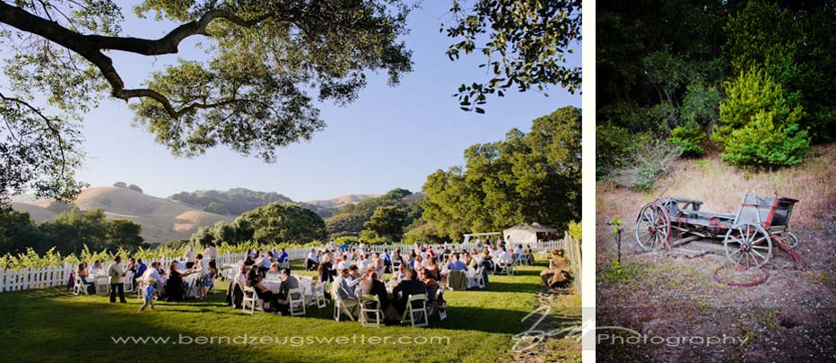Wedding reception at the Thomas Estate.
