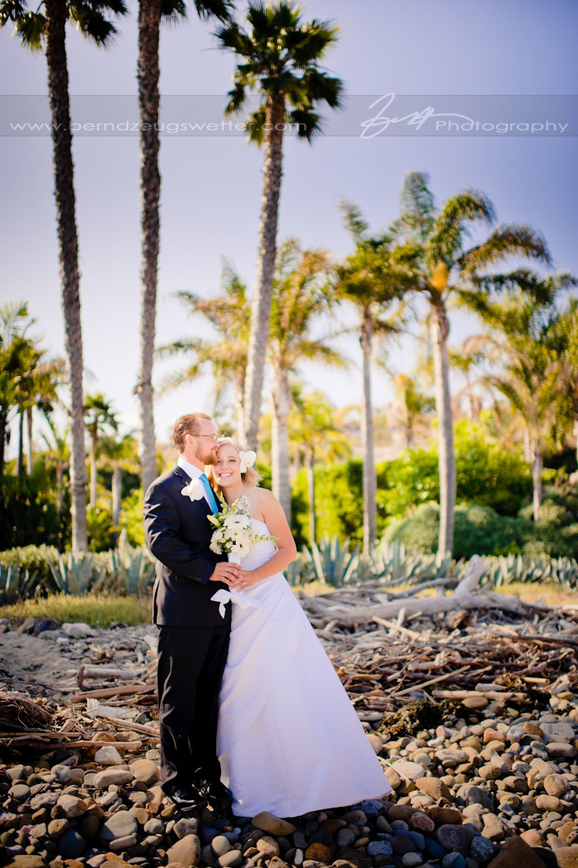 Portrait of bride and groom with palm trees at Rincon Beach, Carpinteria.