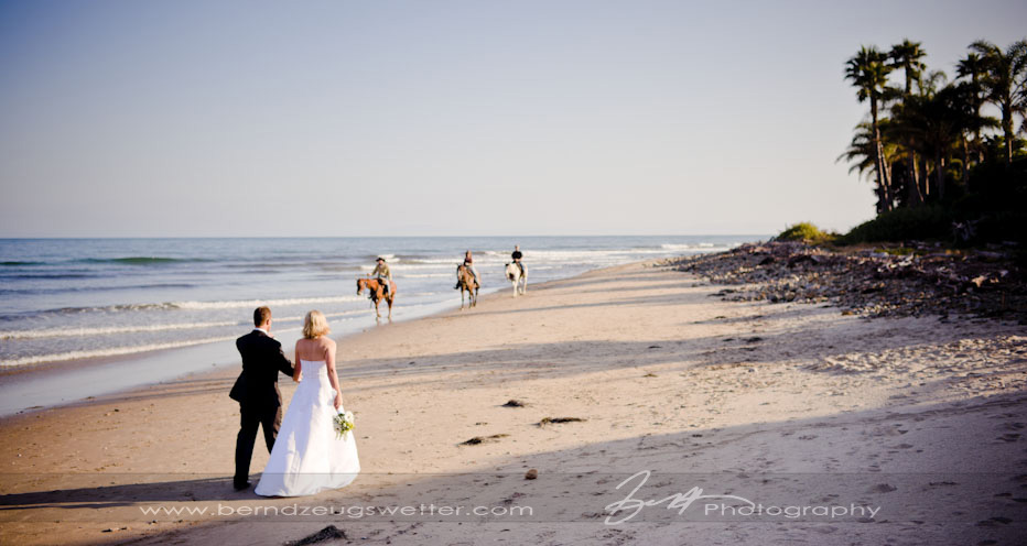 Bride and groom meeting horses on the beach, Rincon Point, Santa Barbara.