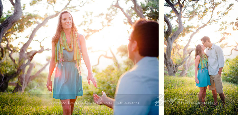 Engagement portraits at Douglas Family Preserve, Santa Barbara.