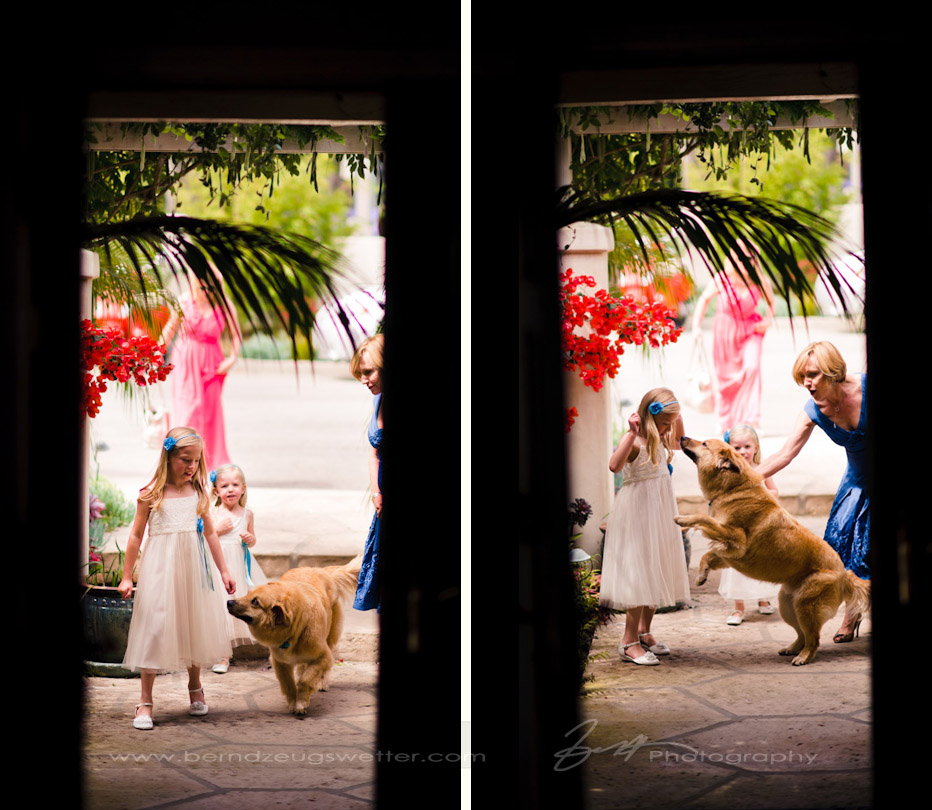 Flower girls and dog, Santa Barbara wedding photography.