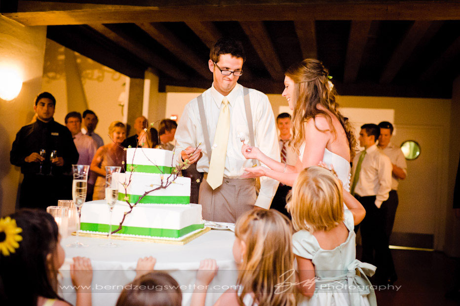 Bride and Groom cutting the cake, kids watching.