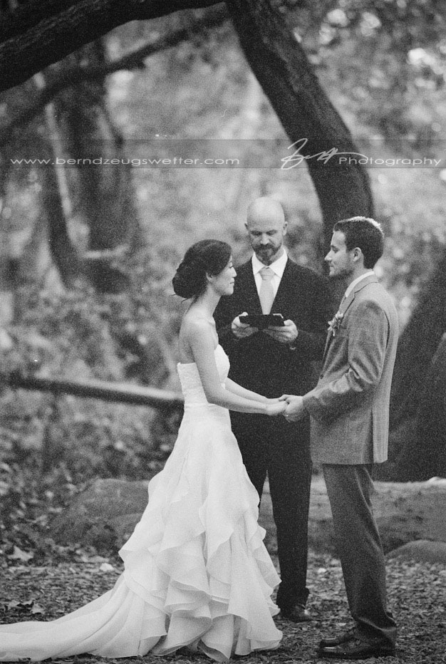 Wedding ceremony at Santa Barbara Museum of Natural History.