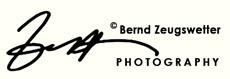 Santa Barbara Wedding Photographer | Portrait and Lifestyle Photography logo
