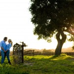 Engagement session at Firestone Vineyard.