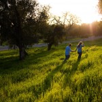 Couple walking in evening light, Firestone Vineyard, Santa Ynez.
